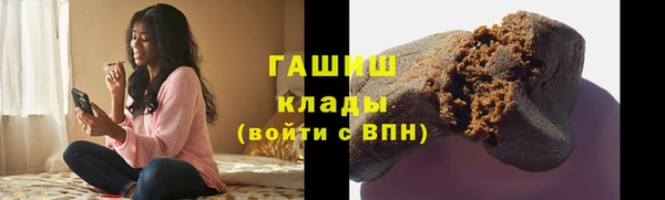 шишки Арсеньев