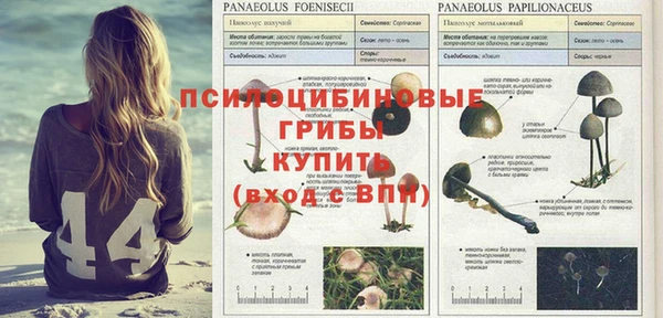 прущая мука Аркадак
