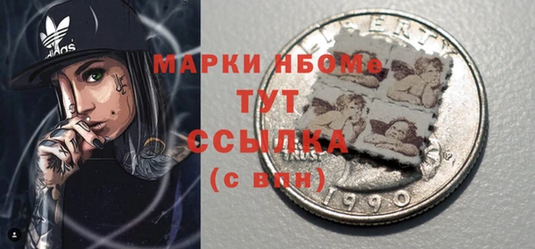 шишки Арсеньев