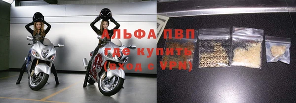 шишки Арсеньев